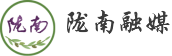 陇南融媒